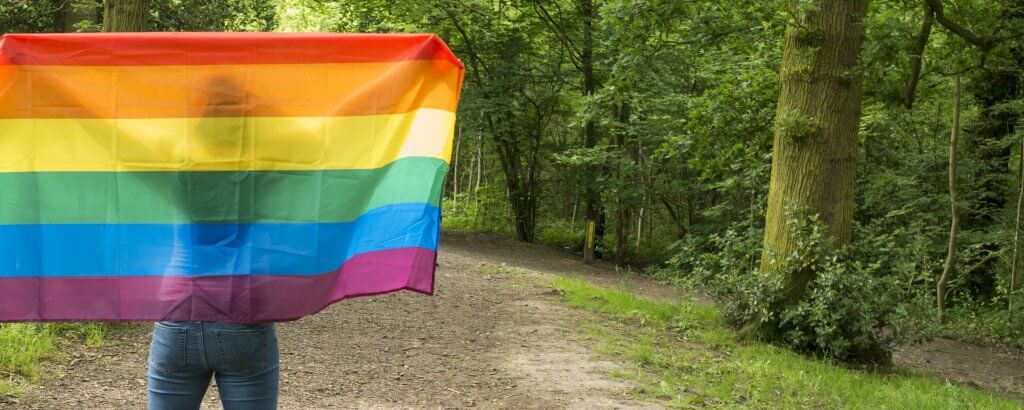 Woman holding up pride flag so that she is a silhouette behind in on woodland path