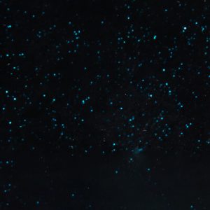 Nights On Neptune Glitter